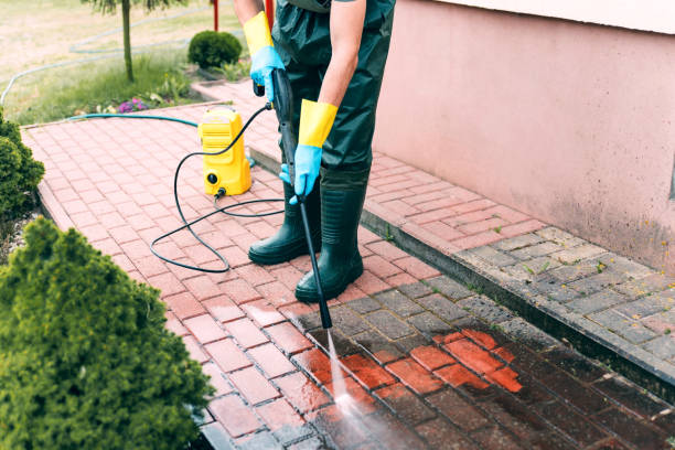 Best Soft Washing for Delicate Surfaces in Bally, PA